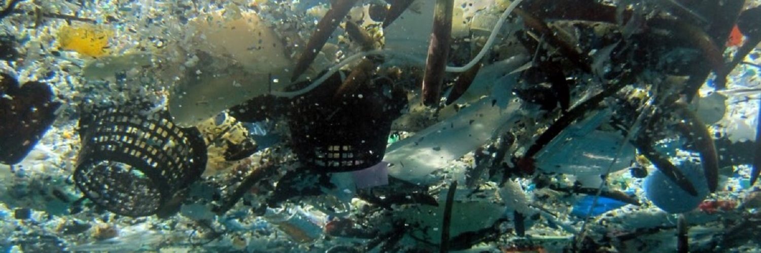 Gran Mancha Plastico , ¿Qué es el Gran Parche de Basura del Pacífico ...