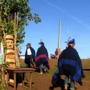 Huelga de hambre y conflicto mapuche