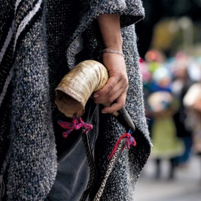 Estado chileno y pueblo mapuche: nuevo Gobierno, viejas políticas