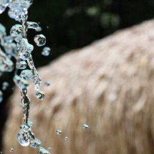 Santa Sede organiza conferencia sobre el cuidado y acceso al agua potable