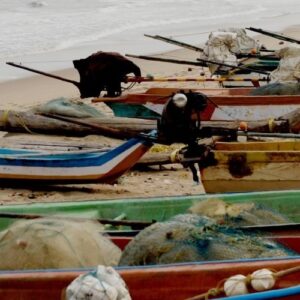Cardenal Turkson: “Que sean reivindicados los derechos de los pescadores”