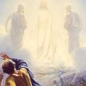 El Evangelio que anunciamos las mujeres. “Caminando transfiguradas”