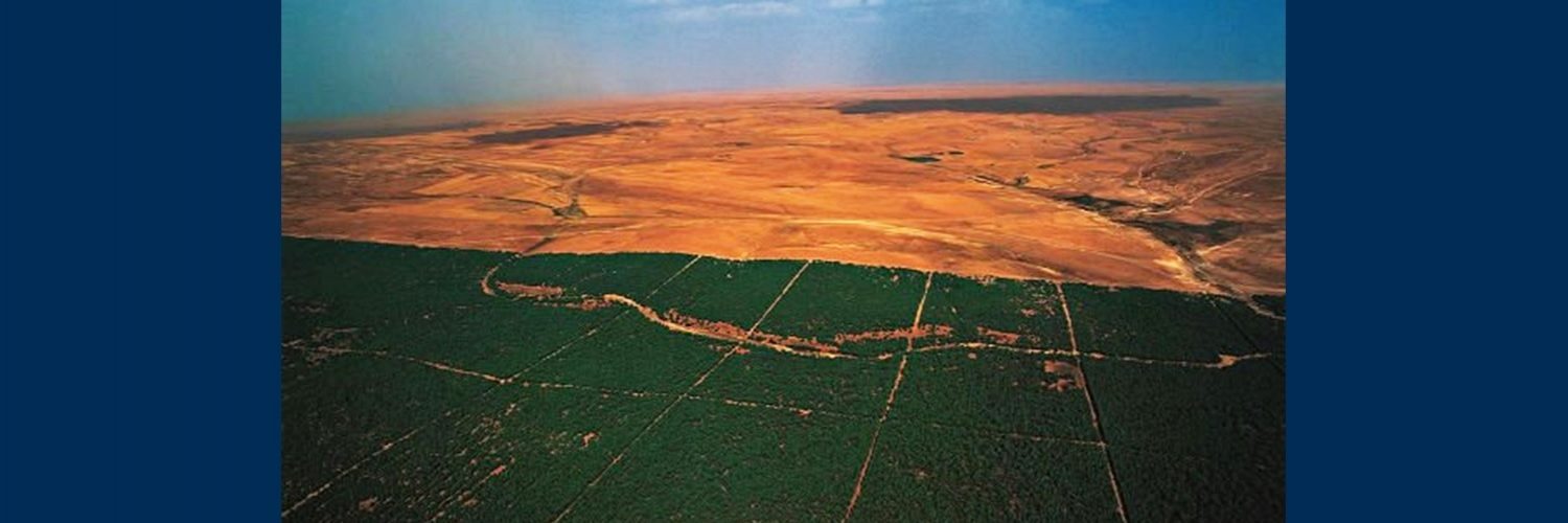 La muralla verde que todos quieren – Revista Mensaje