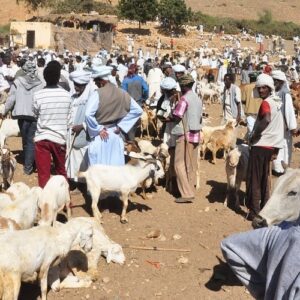 Eritrea: La comunidad católica, amenazada por las acciones del Gobierno