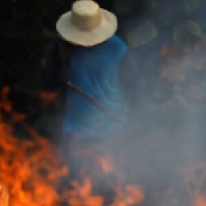 CELAM ante incendios de bosques: Levantamos la voz por el Amazonas