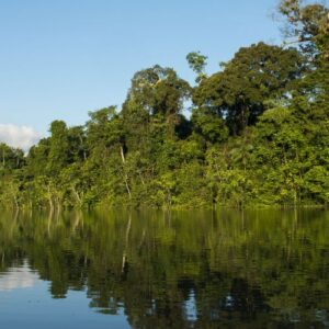 Amazonía peruana: Una de las zonas con mayor biodiversidad del planeta