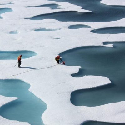 Más de 11 mil científicos de 153 países declaran la necesidad de una “emergencia climática”