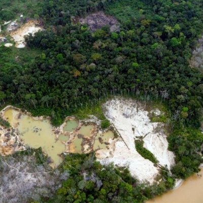 Incendios y deforestación: Factores que amenazan el equilibrio en la Amazonía