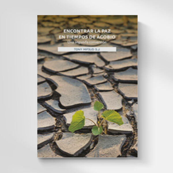 LIBRO ENCONTRAR LA PAZ EN TIEMPOS DE AGOBIO